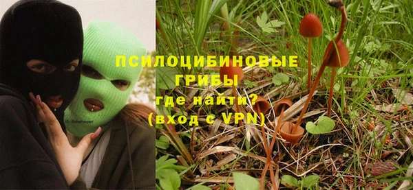 бутират Алзамай