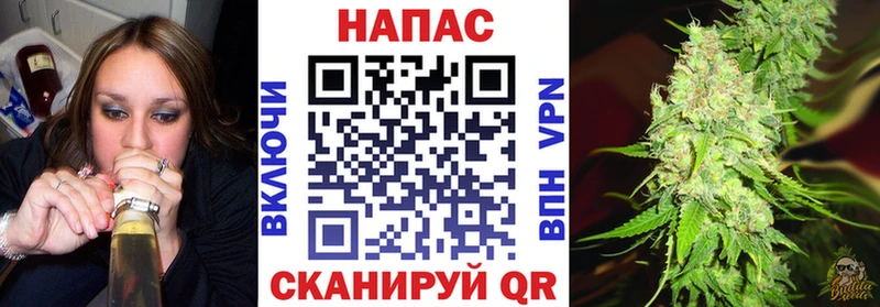 Бошки Шишки планчик  Сураж 